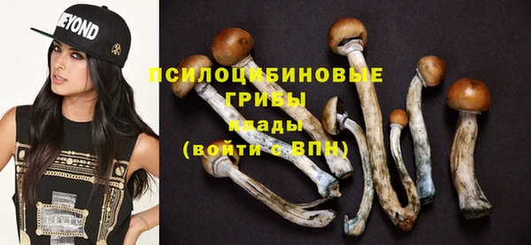 круглые Алексеевка