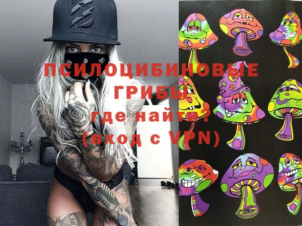 круглые Алексеевка