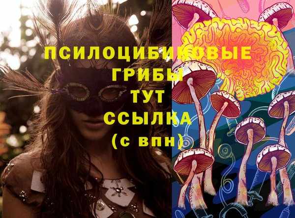 кокс Алзамай