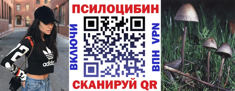 Псилоцибиновые грибы Psilocybe Добрянка