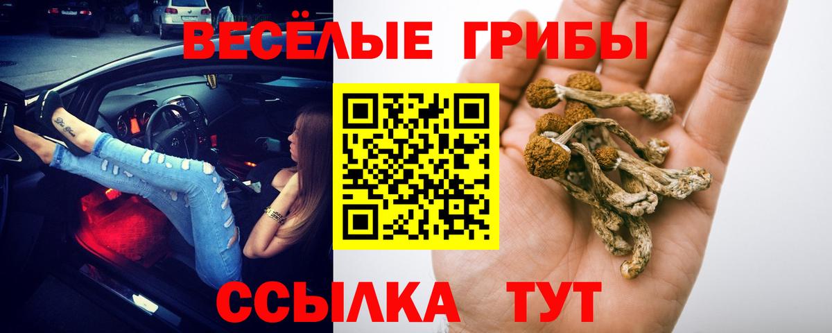 Добрянка  Галлюциногенные грибы Magic Shrooms  Вход с VPN 