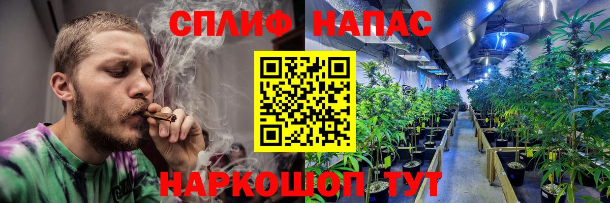 Канабис VHQ  Бошки марихуана план  Добрянка  Вход с VPN  Бошки Шишки White Widow 